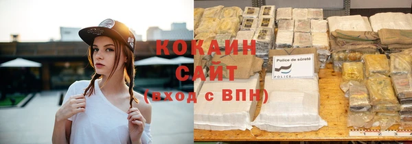 ECSTASY Елизово