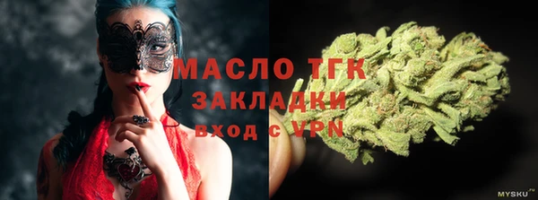 дмт Ельня
