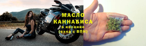 ECSTASY Елизово