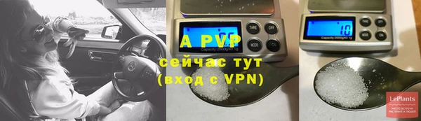 дмт Ельня