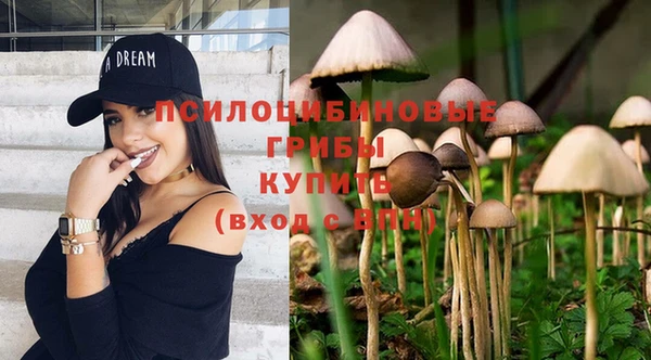 ECSTASY Елизово