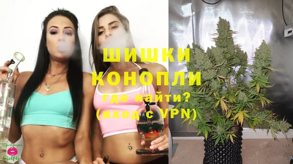 ECSTASY Елизово