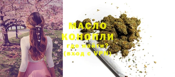 дмт Ельня