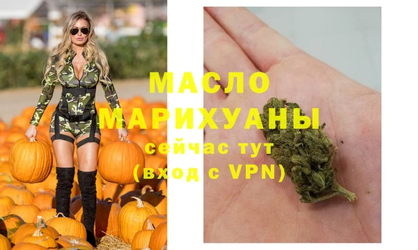 дмт Ельня