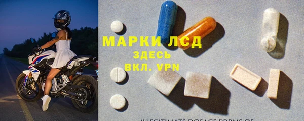 ECSTASY Елизово