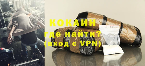 дмт Ельня